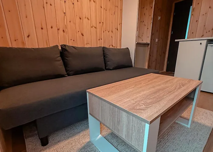 Apartment Nauji Tipo Apartamentai Su Privaciu Wc Ir Vonios Kambariu